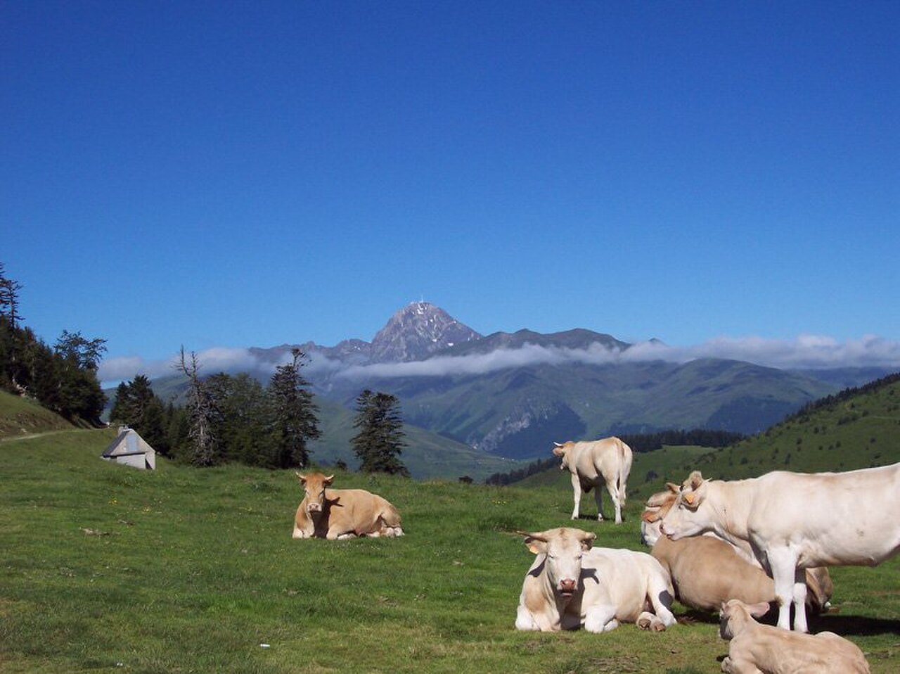 Haute montagne pyrénéenne